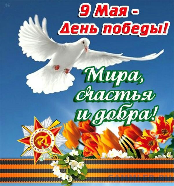 С днём победы мира С днём победы мира