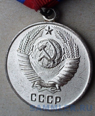 image.jpg